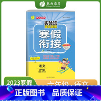 语文 小学六年级 [正版]2023实验班提优训练寒假衔接六年级语文人教版RMJY提优训练册衔接上下学期阅读训练能力巩固提