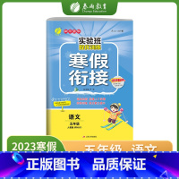 语文 小学五年级 [正版]2023实验班提优训练寒假衔接五年级语文人教版RMJY提优训练册衔接上下学期阅读训练能力巩固提