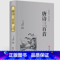 [正版]唐诗三百首精装全解中国古诗词全宋词鉴赏词典辞典赏析唐诗宋词选集配宋词三百首华好诗词诗经诗词书籍