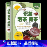 [正版]识茶泡茶品茶图鉴茶经茶书茶叶书籍大全茶文化入门知识关于中国日本茶道茶文化书 图解茶叶茶艺花草茶乌龙铁观音普洱茶