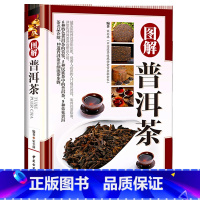 [正版]图解普洱茶精装茶叶品鉴研究书籍大全茶文化迷上普洱帝国易武与古六大茶山云南山头茶经典普洱名词释义普洱茶论品鉴与经