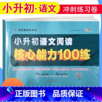 [正版]新版小升初语文阅读核心能力100练 小学毕业升学冲刺练习卷68所名校直通车阅读理解专项训练书小考必刷题六年级下