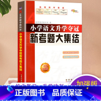 [正版]2023新版小升初小学语文升学夺冠新考题大集结全国68所名牌教师小升初毕业语文小考辅导新考题经典题型小升初总复