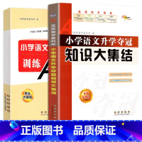 [正版]2023新版全新升级版共2册小学语文升学夺冠知识大集结+训练A体系 小升初语文总复习资料中小学辅导书小考试辅导