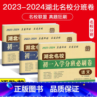 湖北名校 初一入学分班必刷卷 [语文+数学+英语] 小学升初中 [正版]2024版 湖北名校小升初招生分班必刷卷语文数学