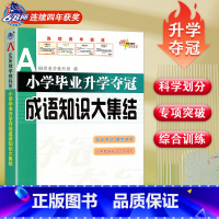 [正版]2023新版 小学毕业升学夺冠 成语知识大集结 68所名校教科所 语文成语基础训练 成语近反义词过关测试卷 易