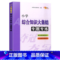 小学综合知识大集结 小学升初中 [正版]68所名校教科所 小学综合知识大集结 专题专练 小学1-6年级综合总复习资料 小