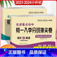 2本套装]语文英语+数学(六年级适用) 小学升初中 [正版]2023-2024版初一入学分班拔尖卷语文英语数学 小学六年