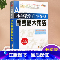 数学 新考题大集结 小学升初中 [正版]2023小升初小学数学升学夺冠新考题大集结全国名牌教师小升初毕业数学小考辅导新考