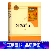 骆驼祥子 [正版]骆驼祥子和海底两万里人民教育出版社七年级下册原著书老舍初中版名著课外书初一初中人教版语文阅读书籍七下的