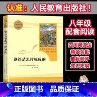 钢铁是怎样炼成的 [正版]钢铁是怎样炼成的原著人民教育出版社初中八年级下册语文课外书文学图书和名著8八下课外阅读人教版练