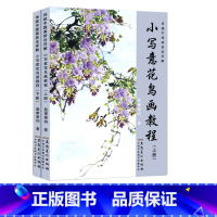 [正版]小写意花鸟画教程(上下)全2册传统中国画技法详解 皇甫秉钧著 零基础学国画入门基础教程美术初学梅兰竹菊花卉翎毛