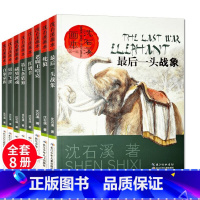 沈石溪动物小说全套8册 [正版]全套23册草房子画本曹文轩系列儿童文学 沈石溪动物小说全集的书 杨红樱校园小说系列三四五