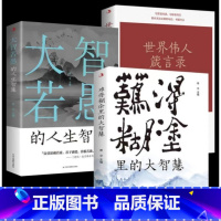 [正版]大智若愚里的人生智慧难得糊涂里的大智慧世界文人箴言录中国哲学