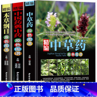 [正版]全3册精编中草药+本草纲目+中国药典中药原色图谱 中草药全图鉴速查手册图谱中国药材图鉴大全常用中草药识别应用中