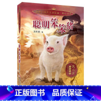 聪明笨笨猪 [正版]动物小说大王沈石溪奇幻书系聪明笨笨猪蛮雄蜣螂蓝眼忠犬热血羊娃英雄战象狐狸兄妹经典动物文学小学生课外阅