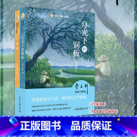 月光下的铜板+芦荻秋 全二册 [正版]书店《月光下的铜板》《芦荻秋》曹文轩儿童文学系列8-9-10-12岁书籍中小学生课