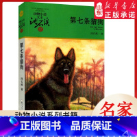 第七条猎狗 [正版]升级版动物小说大王沈石溪·品藏书系-第七条猎狗