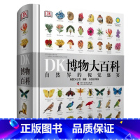 DK博物大百科 [正版]7-15岁DK儿童大百科全书系列任选 大英dk博物大百科 太空历史科学自然动物世界地理 中小学生