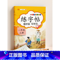 [一年级上册]同步练字帖 小学通用 [正版]小学生语文同步练字帖一年级二年级三四五六年级上册下册人教版练字本看拼音写词语