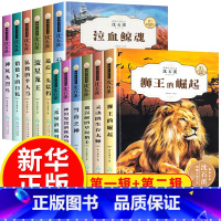 [第一辑+第二辑 全12册]沈石溪经典动物小说 [正版]沈石溪动物小说全12册 十大经典阅读小学生三四至五六年级课外书阅