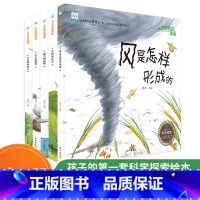 大自然的奥秘 百科全书 [正版]大自然的奥秘_全5册幼儿版认知科普绘本_儿童奇妙科学探索小百科_一年级科普绘本故事书早教