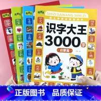 识字大王3000字 全4册 [正版]识字大王3000字儿童趣味认字书幼儿宝宝学前看图识字书籍绘本幼小衔接3-4-5-6-