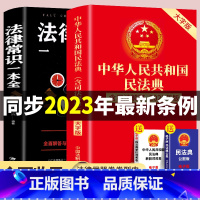 [正版]全2册 民法典2022年版2023 民法典理解与适用全套及相关司法解释汇编 中华人民共和国民法典注释本法律常识