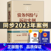 [正版]全案例讲解债务纠纷与诉讼实例新司法解释老赖欠钱不还债务经济纠纷法律工具书同步2023年案例学法用法常用法律法规