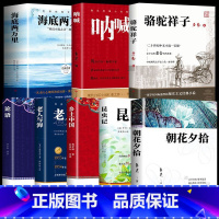 [全套8册]经典文学-初高中生必读 [正版]论语国学经典 原著完整版 原文+注释+译文 论语译注论语别裁诵读本全集全书全