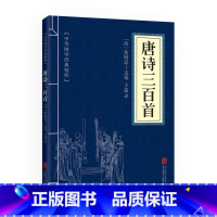 [正版]中华国学经典精粹 唐诗三百首全集文白对照原文注释译文全注全译幼儿早教启蒙小学生青少年中小学课外阅读诗词书 口袋