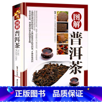 [正版]图解普洱茶精装茶叶品鉴研究书籍大全茶文化迷上普洱帝国易武与古六大茶山云南山头茶经典普洱名词释义普洱茶论品鉴与经