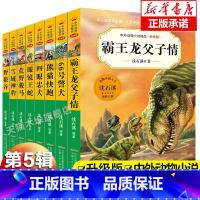 第五辑(共8册) [正版]沈石溪中外动物小说精品升级版狼兄狼弟虎豹兄弟情恐龙家族雪国狼王丛林虎啸疤脸狮王三四五六年级小学