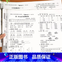 语数英试卷+语数英同步训练[共6本] 三年级下 [正版]小学一年级下册试卷测试卷全套语文数学英语同步训练题人教版1二三四