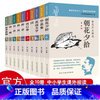 鲁迅作品精选(全十册) [正版]鲁迅作品精选全十册 朝花夕拾呐喊狂人日记华盖集坟花边文学野草 现当代文学散文随笔 经典全