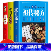 [正版]全3册 土单方+小方子治大病+民间祖传秘方 中医养生疑难杂症常见病对症下药中国民间老偏方大全 中医基础理论药材