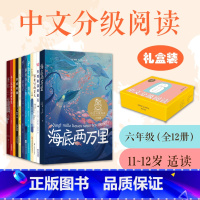 中文分级阅读K6(全套12册) [正版]亲近母语系列全套12册 中文分级阅读K6 11-12岁六年级 小王子汤姆索亚历险