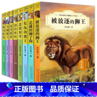 沈石溪作品 中外动物小说精品 (升级版)系列 第一辑 共8册 [正版]沈石溪动物小说全集系列全套56册初中三四五六年级小