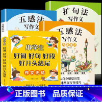 [全4册]好词好句+五感法+扩句法 小学通用 [正版]小学生作文无忧好词好句好段大全集彩图注音版钟书小学生好开头好结尾词