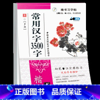 [正版]楷书习字帖中小学生钢笔字帖 常用汉字3500字 钢笔字帖学与练成人楷书速成大学生临摹楷书练字帖文艺小清新字帖高