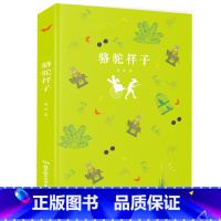 [正版]RT 骆驼祥子 老舍 中小学教辅 中小学阅读 课外阅读 9787568264600