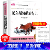 [正版]尼尔斯骑鹅历险记 原著小二三年级四五年级课外书书目全套学生课外阅读书籍儿童读物6-12岁