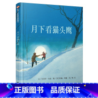 [正版] 信谊绘本精选图画书 月下看猫头鹰 精装硬壳绘本宝宝少儿幼儿童绘本 0-2-3-4-5-6-7-8-10岁绘本