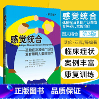 [正版]感觉统合 孤独症及其他广泛性发育障碍儿童的治疗 第2三版 图解儿童感觉统合训练家庭中的书籍女孩男孩游戏专注力训