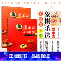 [正版]象棋杀法习题集上下全2册 中国象棋棋谱布局大全 象棋书籍大全中国象棋棋谱大全 中国象棋书籍实战入门 象棋初学者