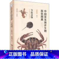 [正版]中国常见海洋生物原色图典 节肢动物 魏建功,李新正 编 海洋学少儿 书店图书籍 中国海洋大学出版社