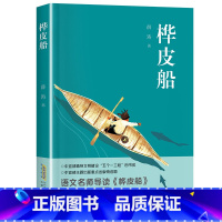 桦皮船 [正版]桦皮船 2023阅美湖湘五年级课外书打卡阅读广东朝阳 安徽少年出版 社薛涛著 一二三四五六年级小学课外阅