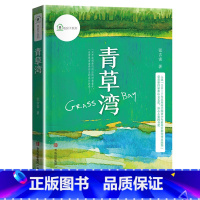 [三年级]青草湾 [正版]青草湾 2023广东朝阳读书香河南三年级阅读 纸房子系列书籍 成长画卷书籍 儿童课外阅读童年诗