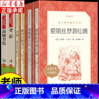 [全6册]背影/荷塘/爱丽丝/鲁滨孙/骑鹅/汤姆索亚 [正版]鲁滨逊漂流记 尼尔斯骑鹅旅行记 汤姆索亚历险记 爱丽丝梦游