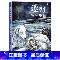 逐狼呼和塔拉 [正版]2023广东朝阳读书香黔贵4四年级阅读 逐狼呼和塔拉 黑鹤著 小学三四五六年级课外阅读书籍7-10